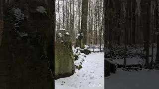 Versteckt im Sachsenwald - Goldammer's Grab