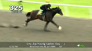 Blinkers On Horse Racing Partnerships City Zip colt breeze