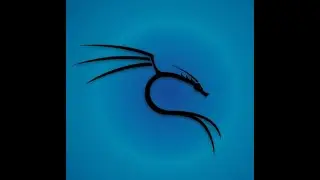 Lesson 1: Setting Up a Virtual Lab using VMWare Fusion for hacking OWASP BWA.