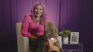 The Story of Meg