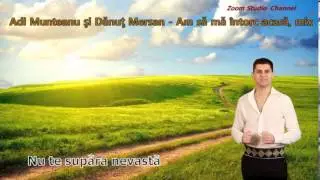 ADI MUNTEANU SI DANUT MERSAN, ALBUMUL 