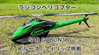 ラジコンヘリコプター SAB GOBLIN380 ループ、フィリップ