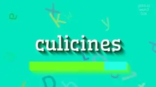 CULICINES - HOW TO SAY CULICINES?