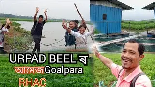 URPAD BEELৰ#আমেজ Goalpara assam#harinathrabha