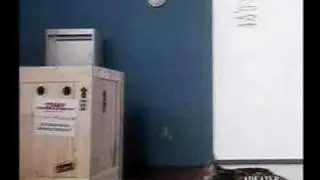 revenge nr.2