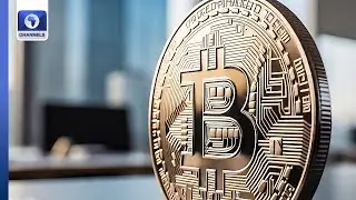 Crypto: Brazil to Allocate 5% of National Reserves To Bitcoin + More | Business Incorporated