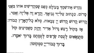 Amida Shajarit