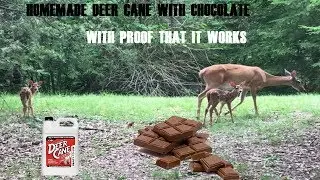Homemade Deer Cane With Chocolate (Proof That It Works)