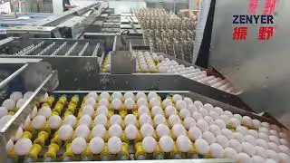 ZENYER 111 Egg Grader connected to a rod conveyor from the chicken house &mdash; operating the Philippines