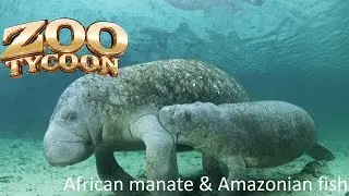 ZOO TYCOON 2 African manate & amazonian fish