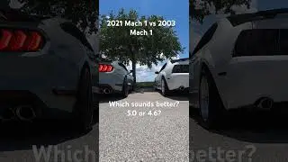 2021 Mach 1 vs 2003 Mach 1 exhaust #automobile #americancar #fordmustang #mach1 #snakebitten97