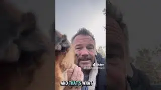 Why are people so angry? No labels needed