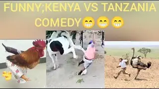 KENYA VS TANZANIA FUNNY VIDEO CLIPS