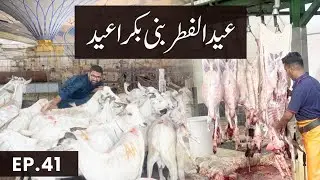 Madina Ki Bakar Mandi | Mandi sa Bakra Lata hoa | Eid Ul Fitr 2025
