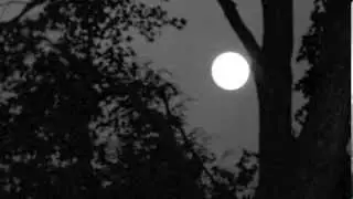 El Rostro De La Luna - de Arturo Rodríguez