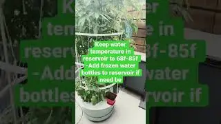 How to grow vertical aeroponic cannabis in a tower garden 2022