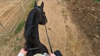 POV Horse Riding Adventure | Captured on Insta360 GO 3S 👀🐎
