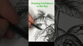 Drawing Confidence is the Key
