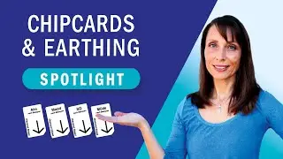 Which Diamond Shield Zapper chipcards do not need earthing?