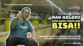 Tanah Kecil Tapi Ingin Populasi Besar? Rak Koloni Solusinya!