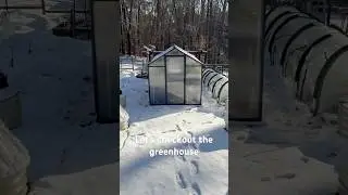 Snow in Central North Carolina (How is the Veikous Greenhouse Holding Up?)