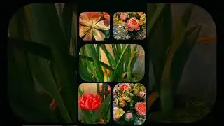 Spring inspiration using my forced tulips #gardendesigner #tablecenterpiece #gardening #flowers