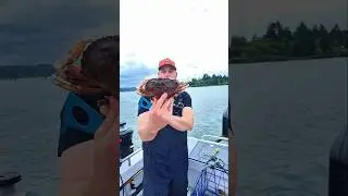 Is crabbing better on low tide or high tide?