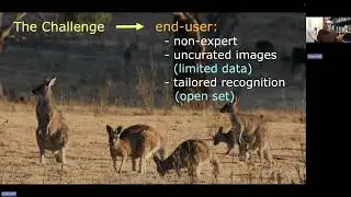 WildAIID: Wildlife Artificial Intelligence Identification