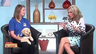 Valor Service Dogs | Morning Blend