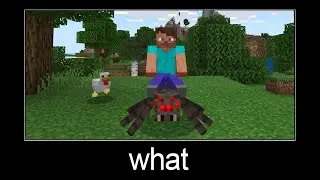 Minecraft wait what meme part 88 (Steve on a spider)
