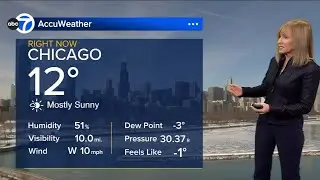 ABC7 AccuWeather Chicago Forecast