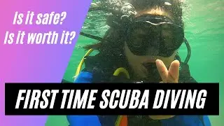 Scuba Diving Jumeirah Dubai   Orca Diving Center