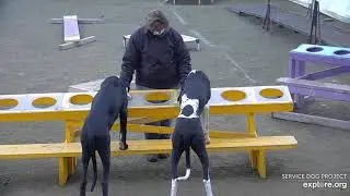 Arena lunches Blendeds Lynn then Diane n Clare 1212021