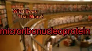 What does microribonucleoprotein mean?