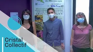 Structures Nano- et Micro- Structures du Laboratoire MatéIS – CLyM | Talents CNRS