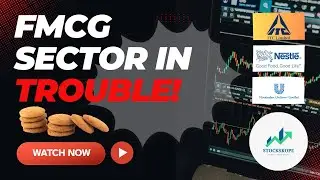 Why FMCG Stocks Are Falling in India! | Hidden Truth Behind the Crash | FMCG Meltdown 2025
