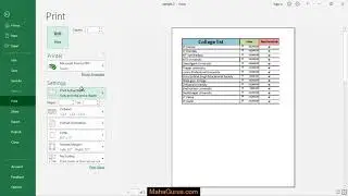 How to Make Portal Page Orientation in Excel- Portal Page Orientation in Excel Tutorial in Hindi