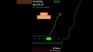 UP THOUSANDS ON PLTR APHA ON ROBINHOOD | Wall Street Bets Options Trading