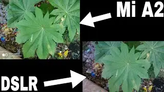 Xiaomi Mia2 camera Comparison with DSLR Sony a6300 | Mia2 Camera Review