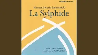 La Sylphide, Act 1: VI. Pas de Deux - Reel