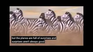Lion Chase zebra lion king