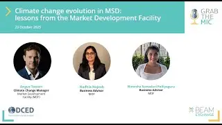 Climate change evolution in MSD: lessons from the Market Development Facility