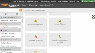 Learning About The Skeleton Directory Whm By webanchor.net