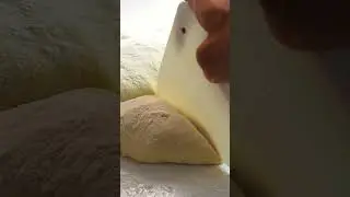 No-Knead Crusty Bread (Watch the Magic Happen!)