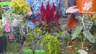 How-To Guide for the Best Gardening Gifts for Mom