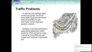 10 1 Cell Growth, Division, and Reproduction