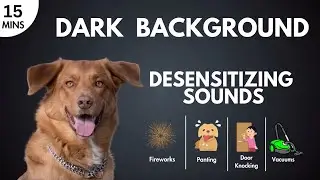 Desensitizing Sounds - Fireworks, Panting, Door Knocking, Vacuum Overcome Triggers for Reactive Dogs