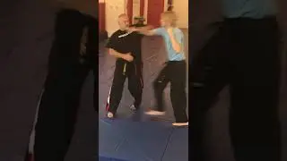 HapKiDo Punch Defense (Technique Sample)