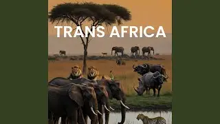 I am Africa
