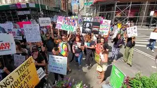 The Official NYC Animal Rights March 2019